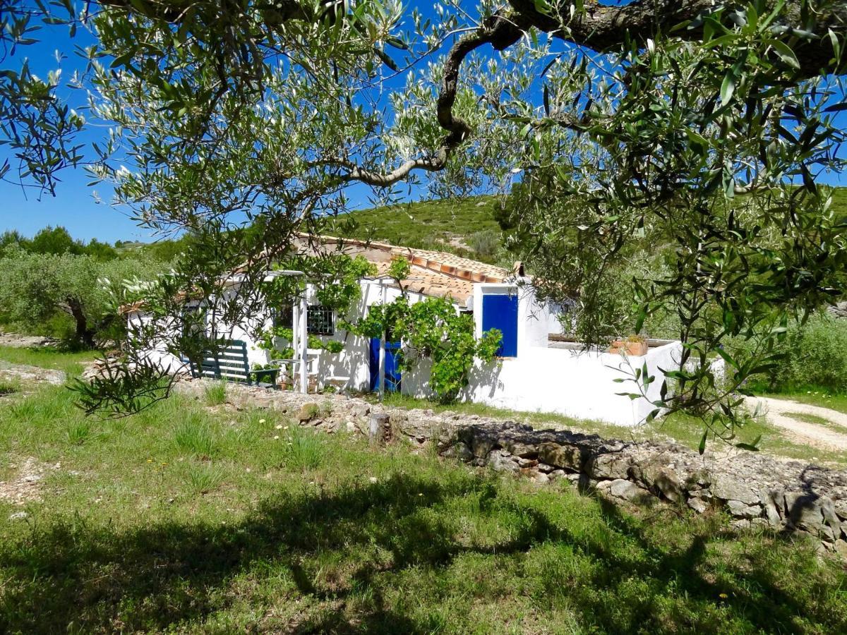 Casita Blanca Villa El Perelló Kültér fotó